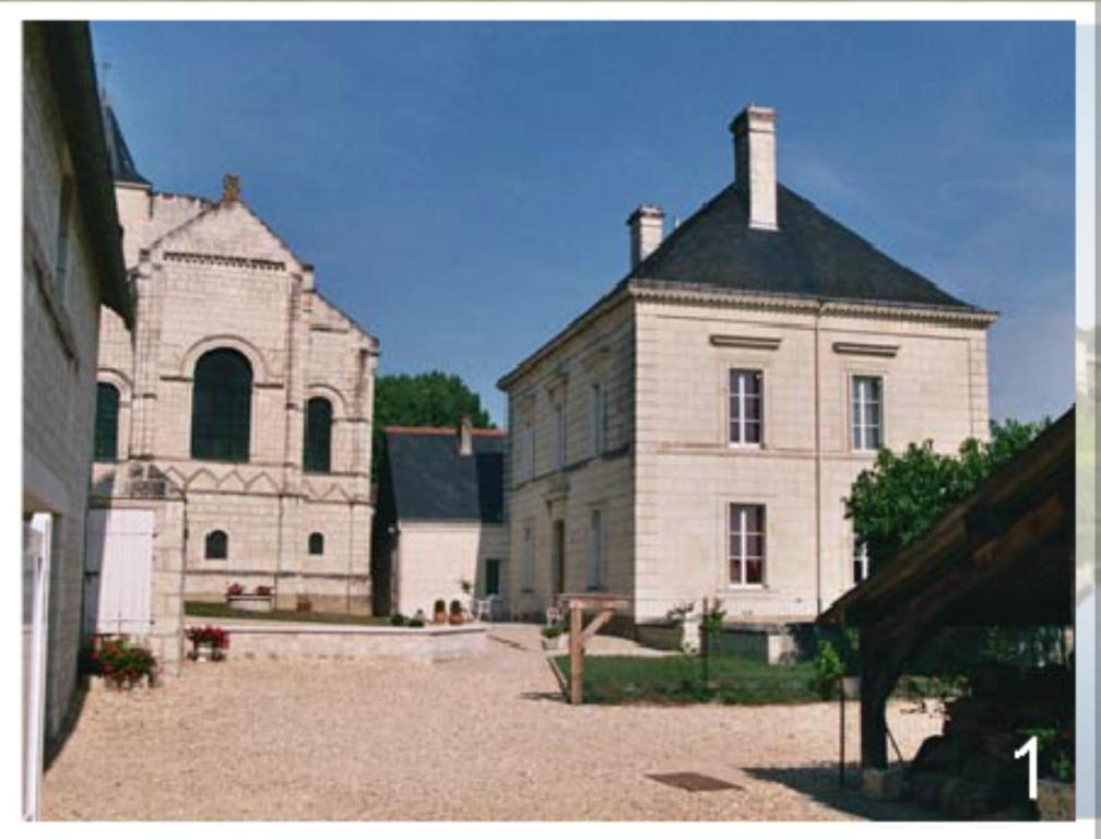 Domaine Du Heron Chinon Exterior photo
